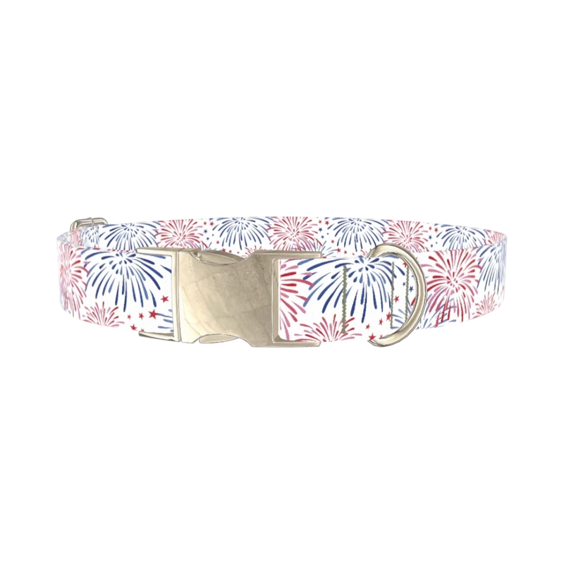 Fireworks Starburst Dog Collar - metal silver