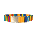 Vibrant Stripe Dog Collar - metal silver