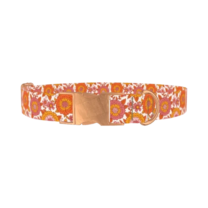 Orange Floral Burst Dog Collar - metal rose gold