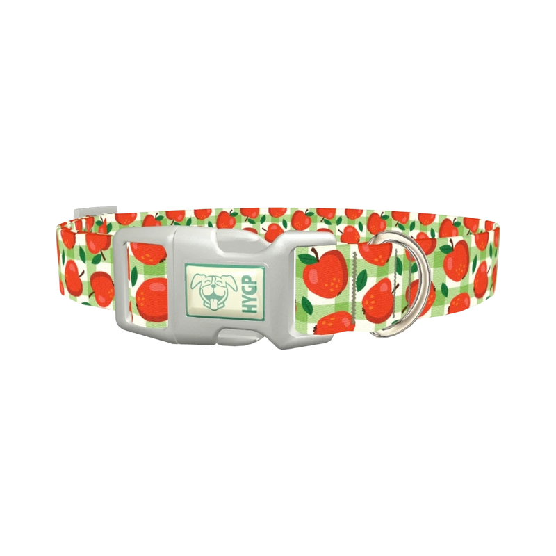 Apple Picnic Dog Collar - plastic silver
