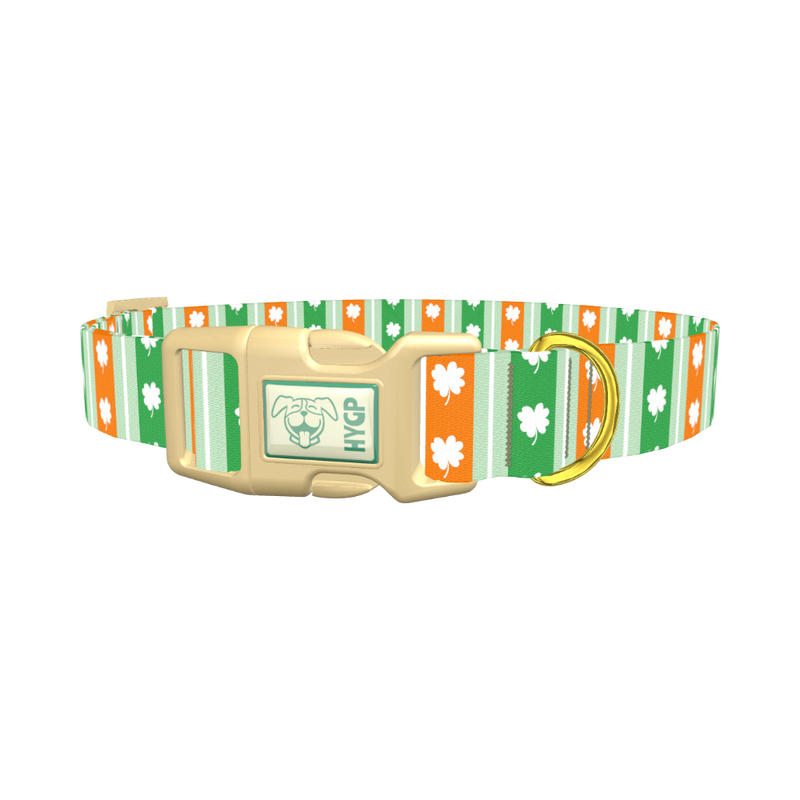 St. Patrick's Shamrock Stripe Dog Collar - plastic gold