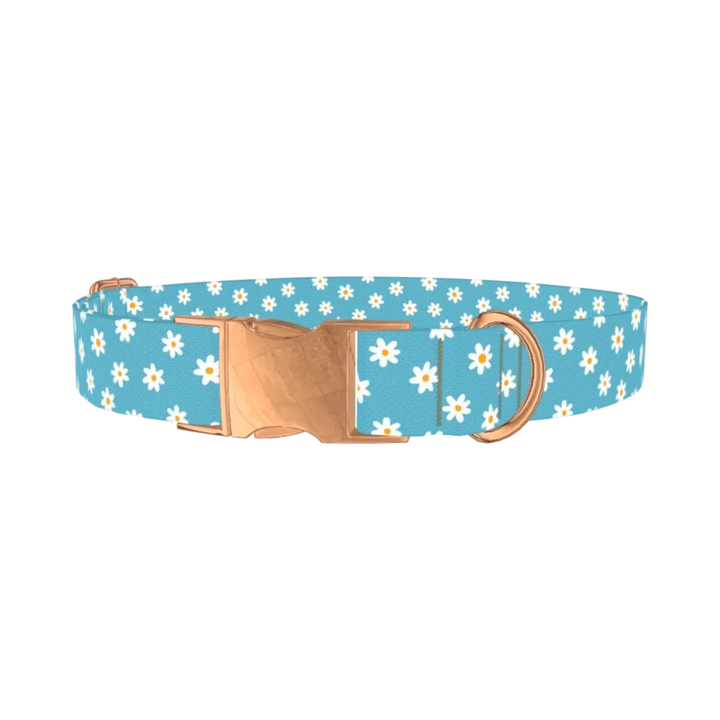 Daisy Floral Dog Collar - metal rose gold