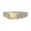  - plastic gold