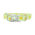 Rubber Duckies Dog Collar - plastic silver