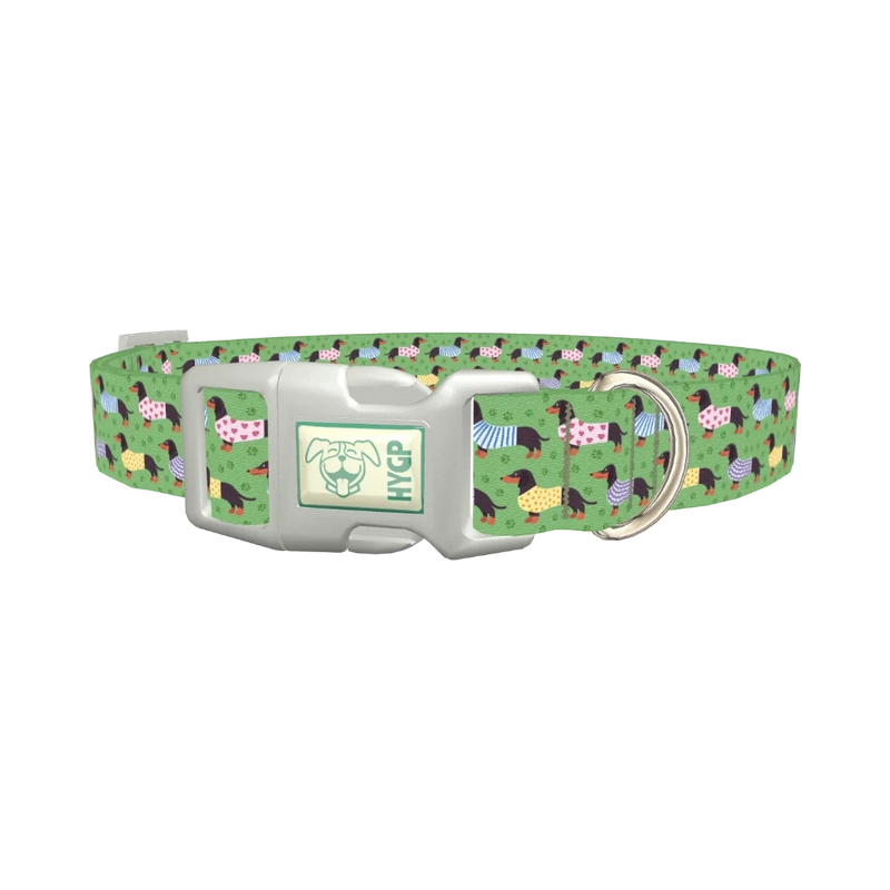 Green Dachshund Sweater Dog Collar - plastic silver