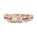 Rainbow Trout Fish Dog Collar - plastic rose gold