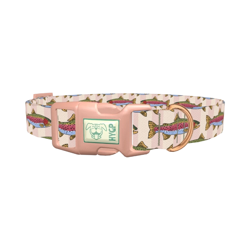 Rainbow Trout Fish Dog Collar - plastic rose gold