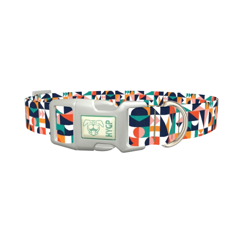 Colorful Geometric Shapes Dog Collar - plastic silver