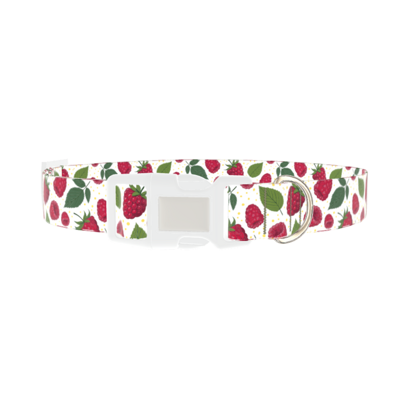Raspberry Fruit Dog Collar - plastic silver
