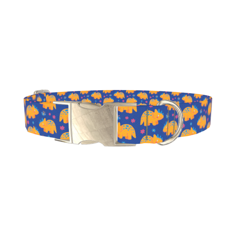 Dinosaur Print Dog Collar - metal silver