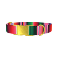 Mexican Stripe Dog Collar - metal gold