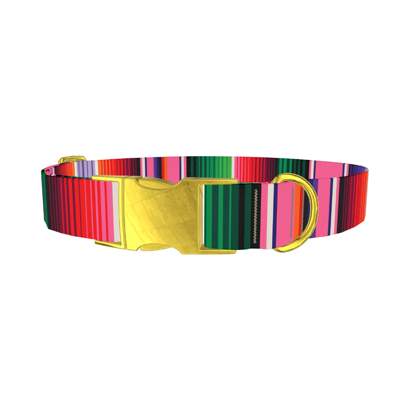 Mexican Stripe Dog Collar - metal gold