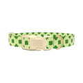 Clover Chevron Dog Collar - plastic silver