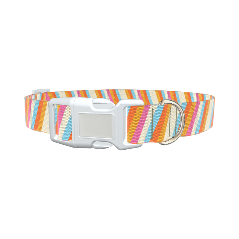 Colorful Diagonal Stripe Dog Collar - plastic rose gold
