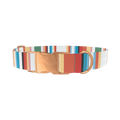 Multicolor Hexagon Stripe Dog Collar - metal silver