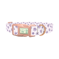 Seashells Ocean Dog Collar - plastic rose gold