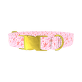 Floral Watercolor Dog Collar - metal rose gold