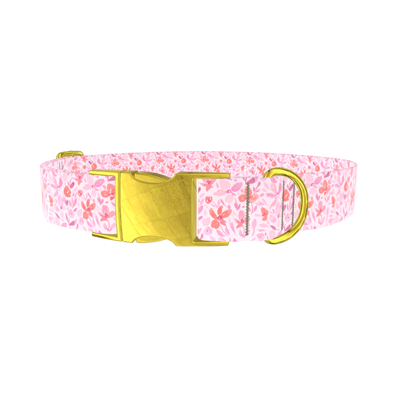 Floral Watercolor Dog Collar - metal rose gold