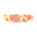 Citrus Fruit Dog Collar - plastic rose gold