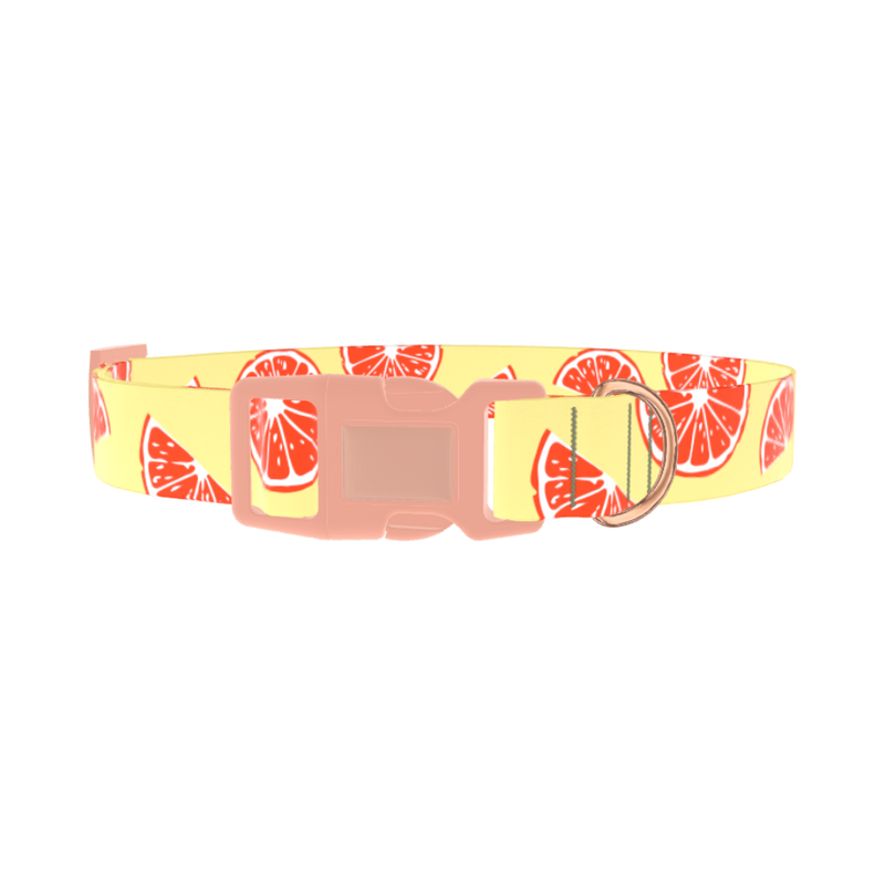 Citrus Fruit Dog Collar - plastic rose gold