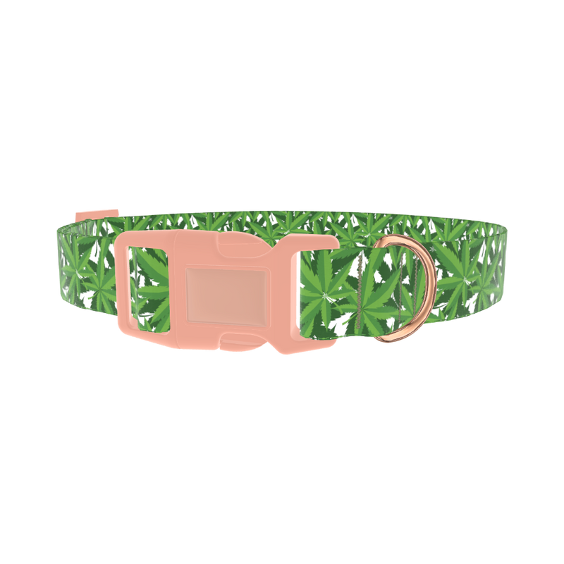 Leaf Pattern Dog Collar - plastic rose gold