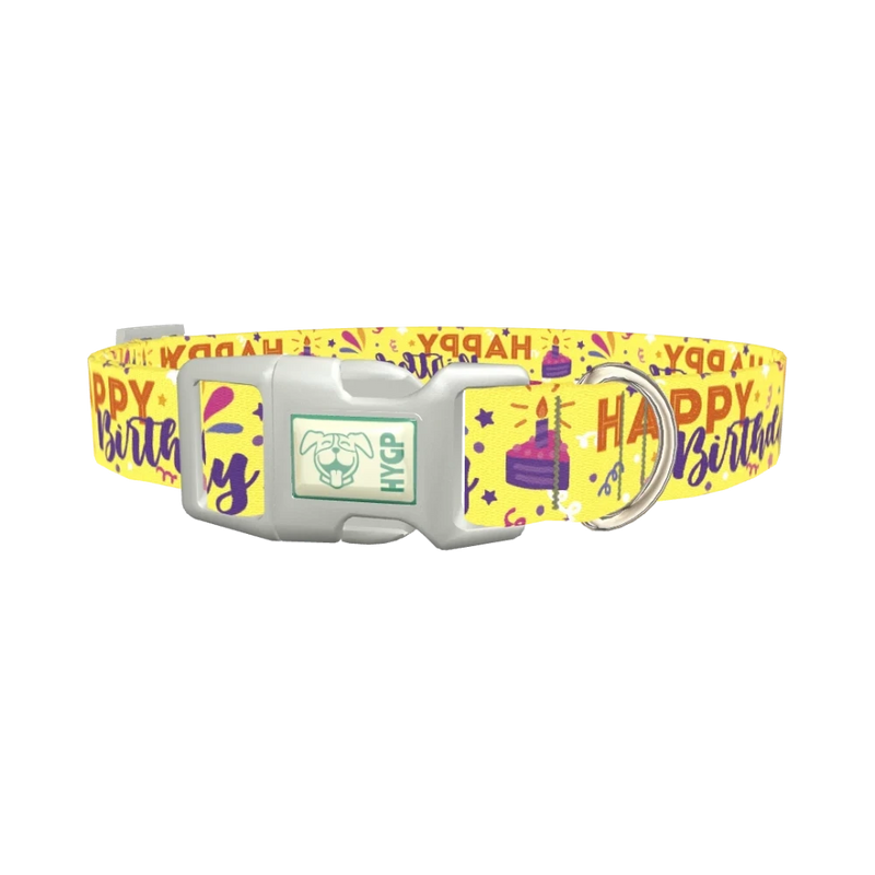 Birthday Cake Dog Collar - plastic silver