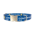 Conch Republic Star Dog Collar - metal rose gold