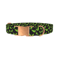 Halloween Scary Eyes Dog Collar - metal rose gold