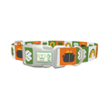 Rainbow Luck Dog Collar - plastic silver