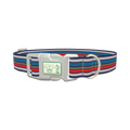 Blue Grey Red Striped Dog Collar - plastic silver