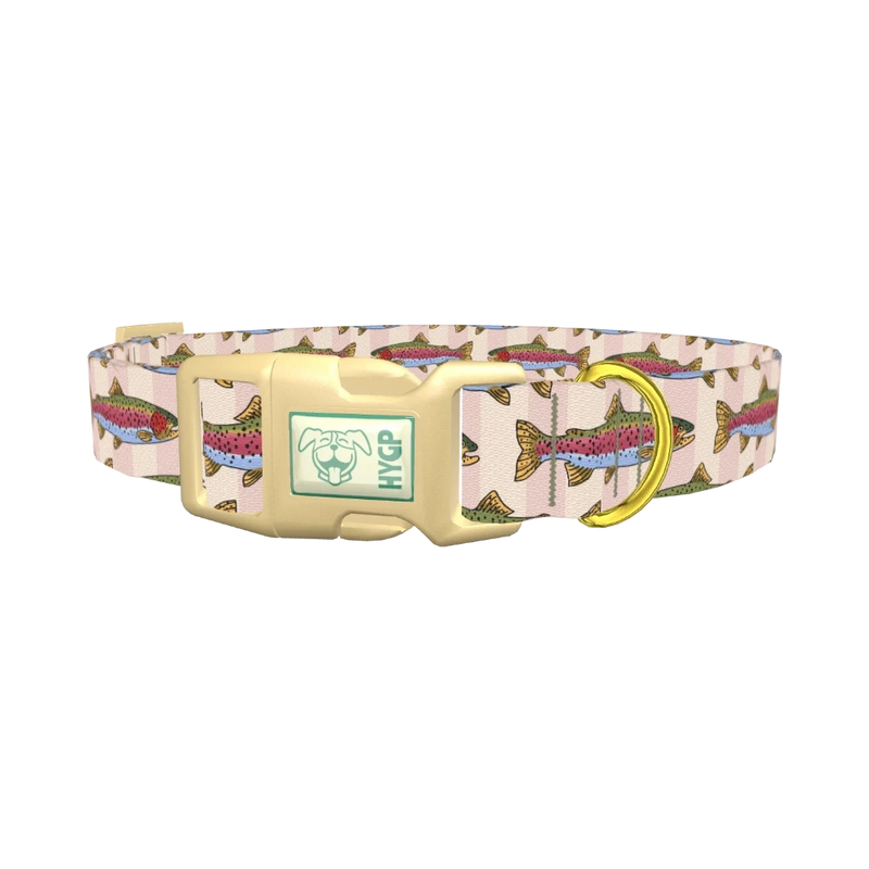 Rainbow Trout Fish Dog Collar - plastic gold