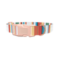 Multicolor Hexagon Stripe Dog Collar - plastic gold