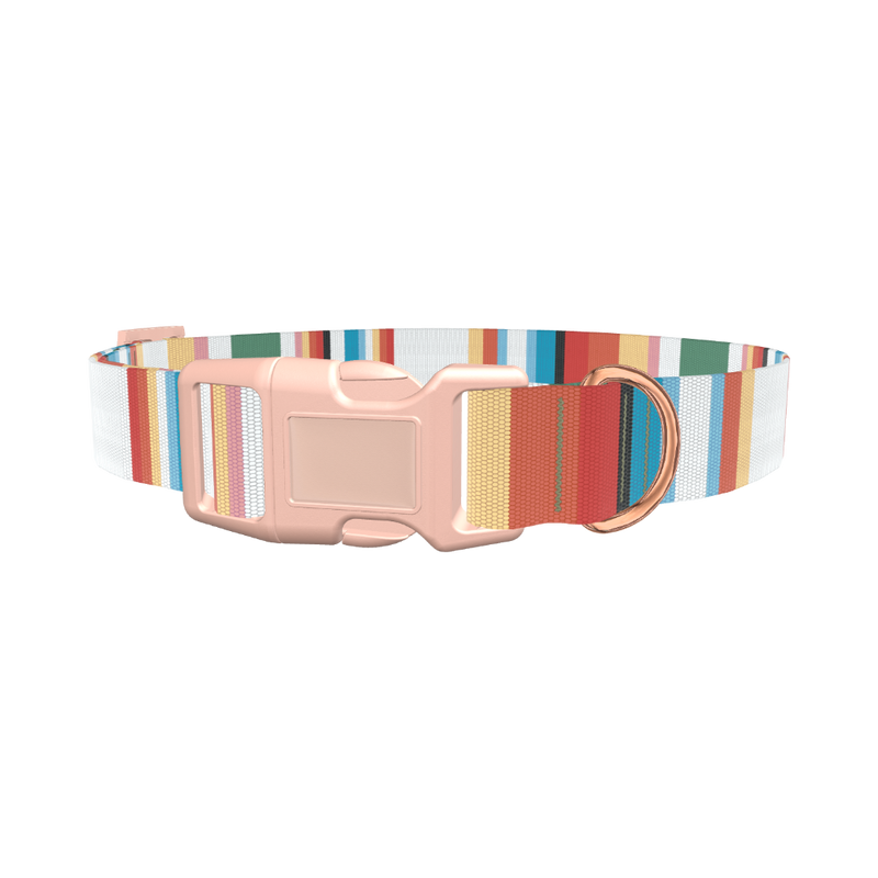 Multicolor Hexagon Stripe Dog Collar - plastic gold