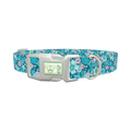 Floral Blue Dog Collar - plastic silver