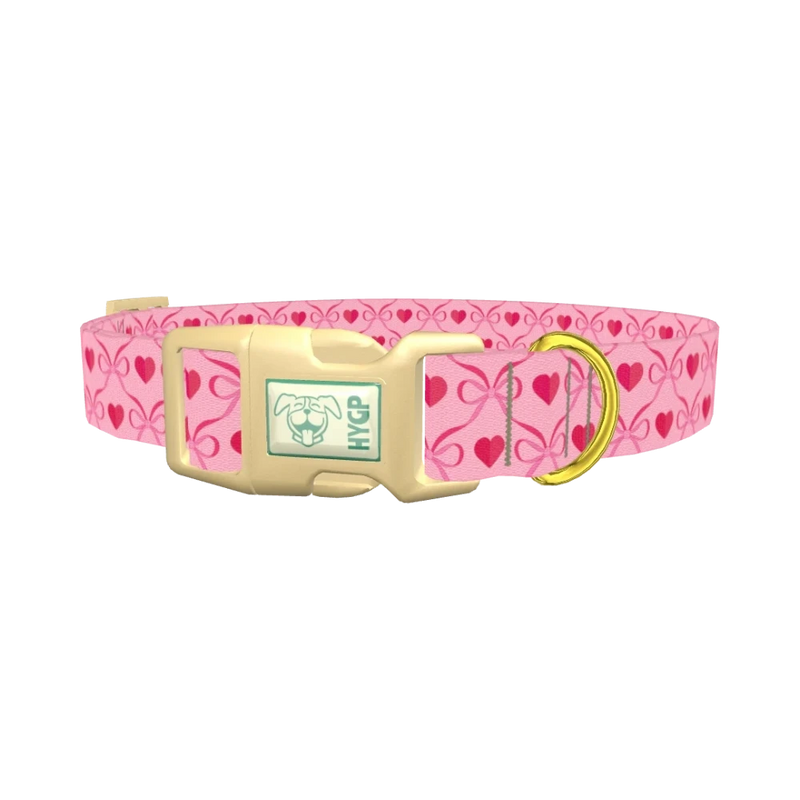 Valentine Heart Dog Collar - plastic gold