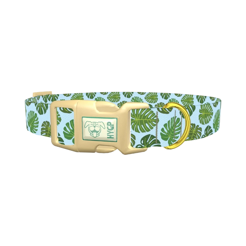 Blue Monstera Leaf Dog Collar - plastic gold