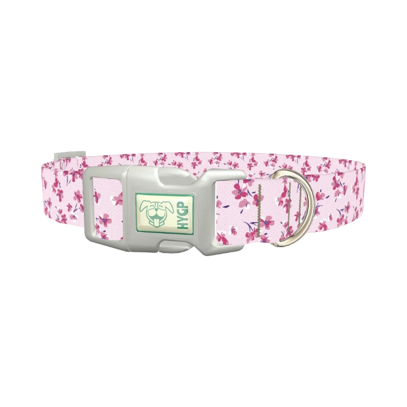 Floral Cherry Blossom Dog Collar - plastic silver