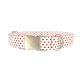 Red Dot Pattern Dog Collar - metal silver