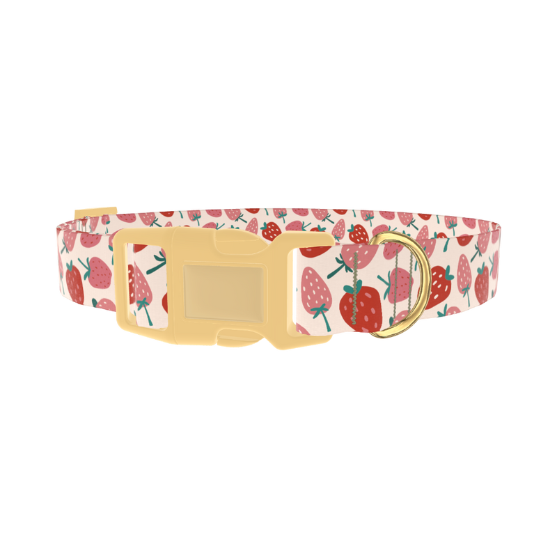 Pink Strawberry Pattern Dog Collar - plastic gold