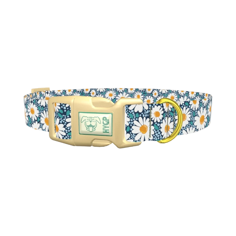Floral Chamomile Dog Collar - plastic gold