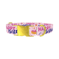 Birthday Cake Celebration Dog Collar - metal gold
