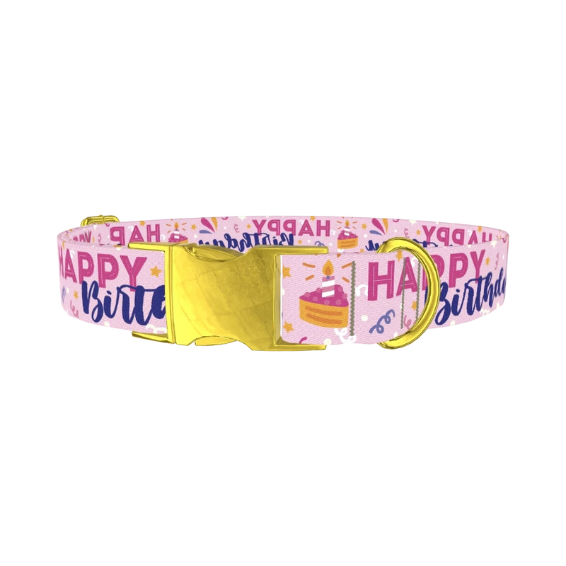 Birthday Cake Celebration Dog Collar - metal gold