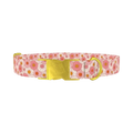 Chamomile Floral Dog Collar - metal gold