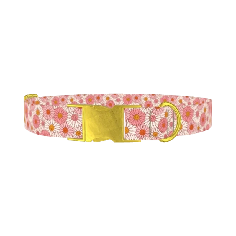 Chamomile Floral Dog Collar - metal gold