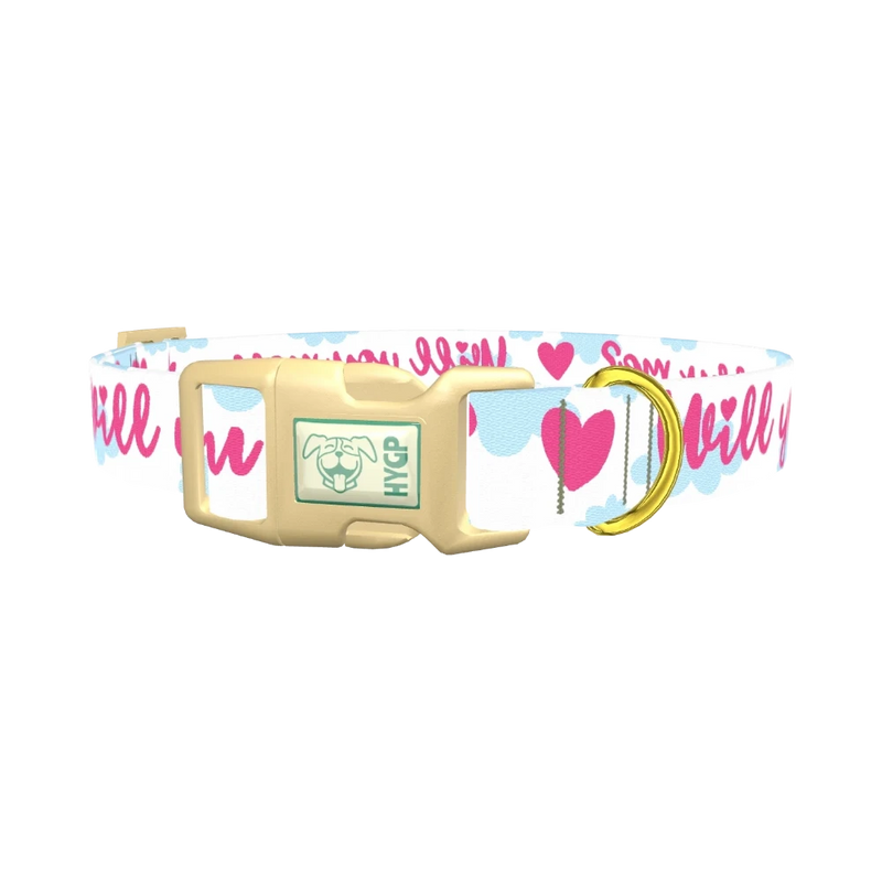 Romantic Heart Dog Collar - plastic gold