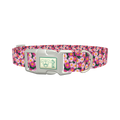 Pink Daisy Floral Dog Collar - plastic silver