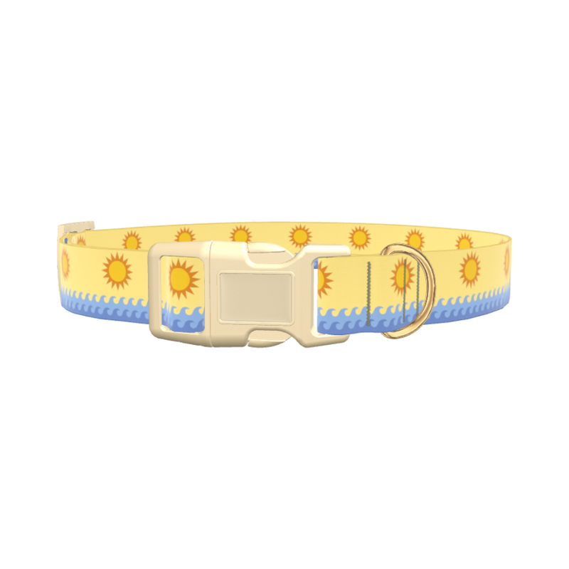 Beach Sun Dog Collar - plastic silver