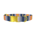 Colorful Striped Dog Collar - plastic gold