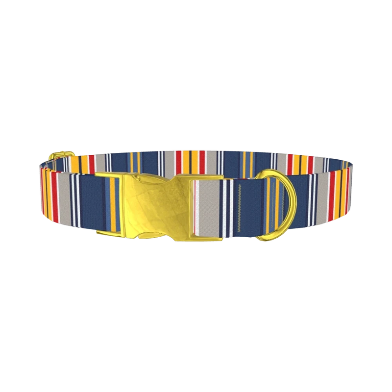 Colorful Striped Dog Collar - plastic gold
