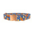 Citrus Popsicle Dog Collar - metal silver
